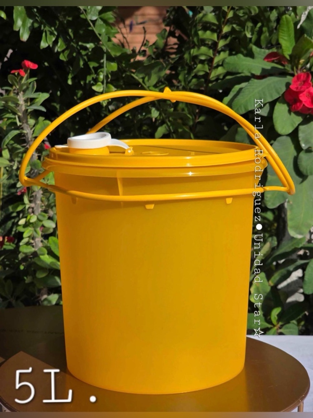 Tupperware Bucket/Container 5L